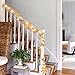 Anpro 30 LED 11.2 Ft Fall Decorations Lights - Thanksgiving Decor Fall Garland Leaves Fall Lights String, Autumn Garland - Battery Powered,Warm White