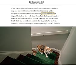EXPAWLORER Anti Slip Dog Socks to Prevent Licking
