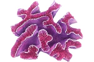 Ulifery Coral Reef Aquarium Decorations Big Fish Tank Ornaments, Pink and Purple