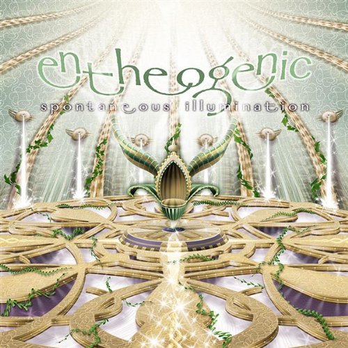 Entheogenic - Spontaneous Illumination - Zortam Music