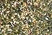 Chicken Chew: Non GMO, No Corn, No Soy All Natural Whole Grain Layer Feed Plump Pumpkin Flavor With Organic Raw Pepitas