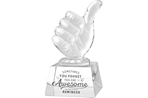 QIANCHANG Thumbs Up Crystal Glass Award Plaque Trophy Paperweight, Sometimes You Forget Your Awesome Birthday Gifts for Women Friends Employee Coworker