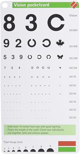 Download Vision Pocketcard PDF