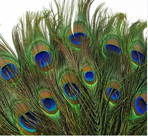 100pcs Lots Real Natural Peacock Tail Eyes Feathers 8-12 Inches / About 23-30cm