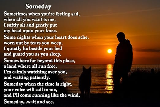 Pérdida de duelo con inscripción Flexible de mascotas de juguete ...