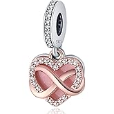 HappyStar 925 Sterling Silver Charm fits Pandora Bracelets Necklace，Pendants DIY Jewelry Gift For Women（With one Spacer Bead Charms）