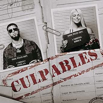 sudadera anuel y karol g