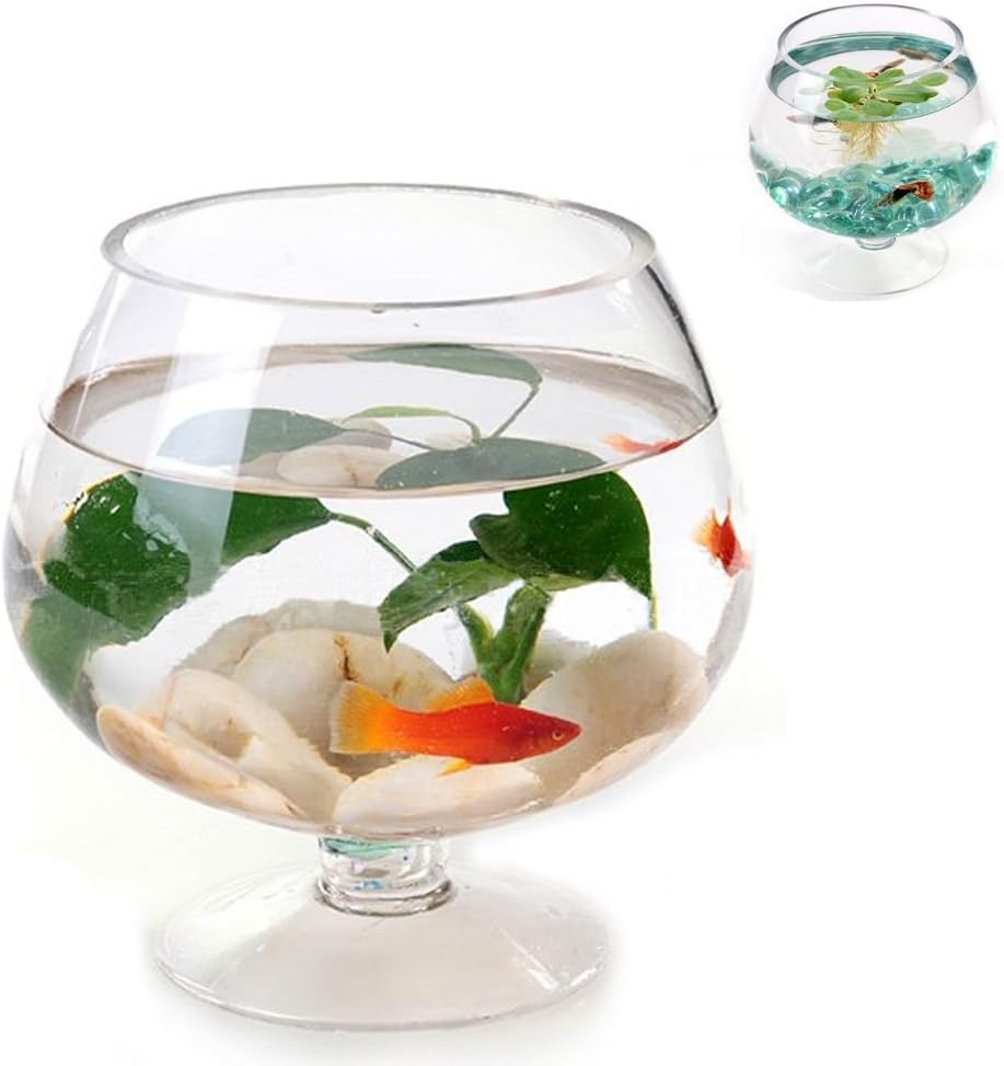 Amazon お部屋にささやかな癒やしを 金魚鉢 アクアリウム プールボール クリア 花瓶 ビー玉 季節 インテリア 水槽 おしゃれ 人気 癒やし Aタイプ Mサイズ I T Outlet 金魚鉢 通販