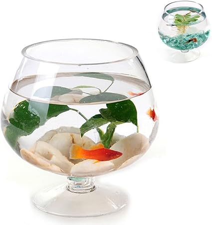 Amazon お部屋にささやかな癒やしを 金魚鉢 アクアリウム プールボール クリア 花瓶 ビー玉 季節 インテリア 水槽 おしゃれ 人気 癒やし Aタイプ Mサイズ I T Outlet 金魚鉢 通販