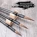 NUOLUX Chinese Calligraphy Set Sumi Drawing Painting Art Brush Pen(3 sizes with Penholder and Medium Pen Shade)