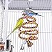 Yaheetech 61-inch Wrought Iron Select Large Bird Cages Include Bungee Rope for African Grey Parrots Cockatiels Sun Parakeets Conure Lovebirds Budgies Finches Play Top Bird Cage with Stand, Whitethumb 1