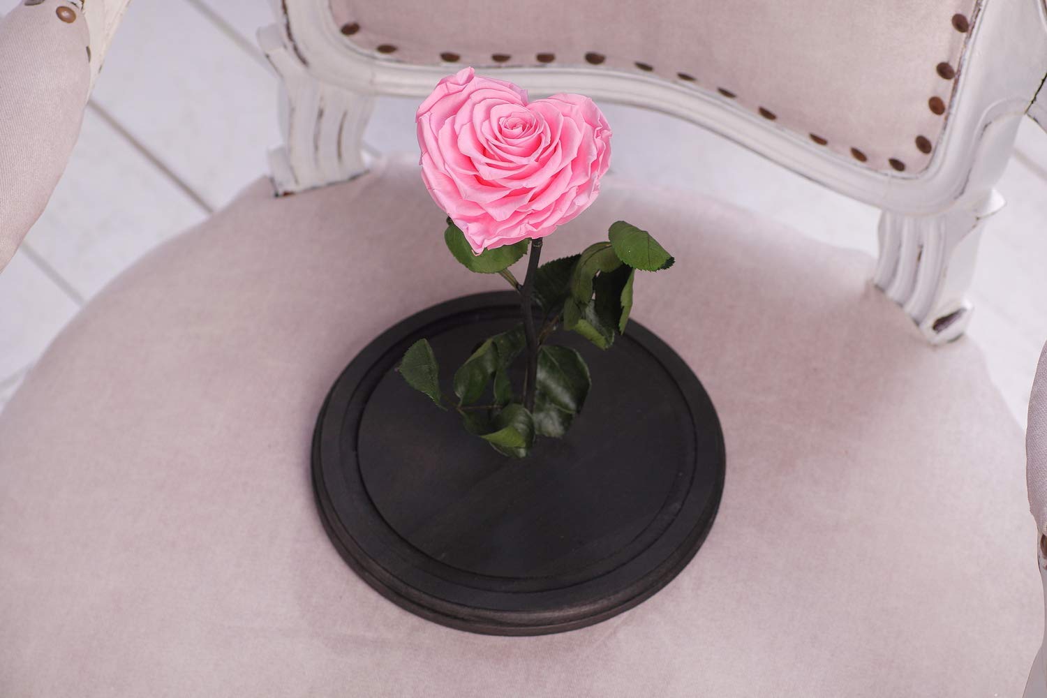 Amazon Com Beauty And The Beast Rose Large Heart Pink Forever Rose Enchanted Rose Rose In Glass Dome Preserved Rose Eternal Rose Handmade Amazon Com Beauty And The Beast Rose Large Heart Pink Forever Rose Enchanted Rose Rose In Glass Dome Preserved Rose Eternal Rose Handmade
