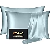 Silk Pillowcase 2 Pack, Mulberry Silk Pillow Cases Queen Size Set of 2, Anti Acne Silk Pillowcase for Hair and Skin, Natural Silk Satin Pillowcases Gifts for Women Men 2 Pack with Zipper, Aqua Blue