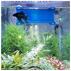 SeeShelter Brand Betta Tunnel
