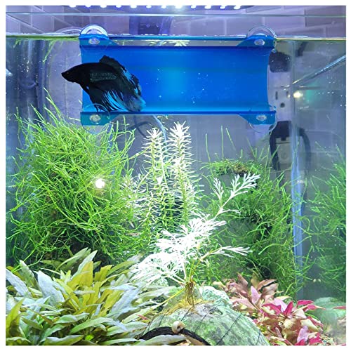 SeeShelter Brand Betta Tunnel