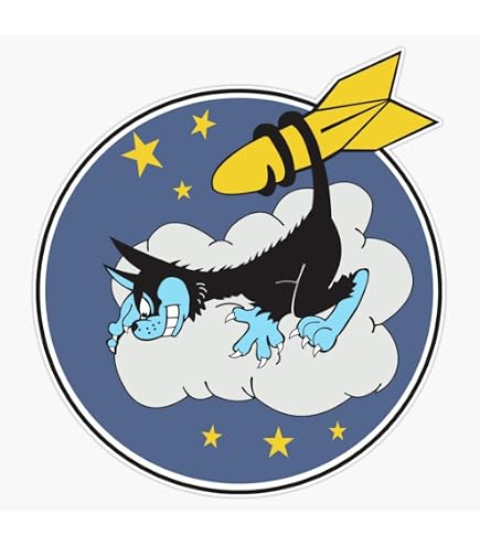 Amazon.com: Usn Black Cat Composite Squadron Vc-13 - Wwii Sticker