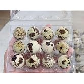 NWQUAILFARM Fresh &amp; Tasty Organic Non-GMO Jumbo Quail Eggs (Two Dozen, 24)