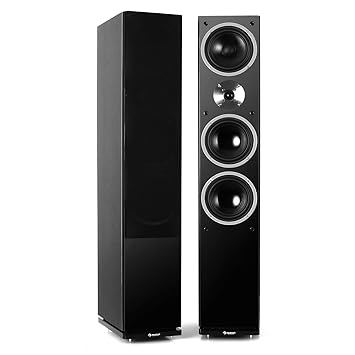 auna Linie-600-BK • Standlautsprecher • Standboxen • HiFi-Lautsprecher • Lautsprecher-Boxen • 140 Watt RMS • passiv • Holzgeh
