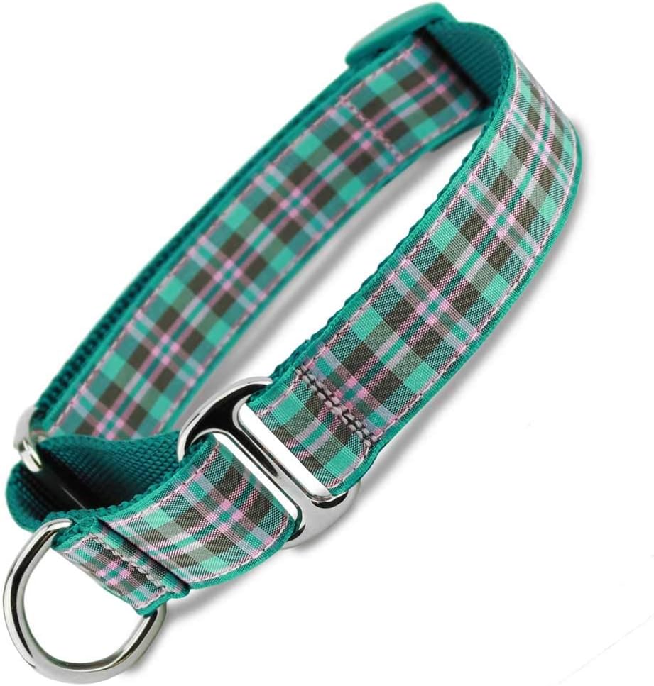 teal martingale dog collar