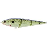 Spro SSS105CMT Sashimmy Swimmer 105 Cell Mate