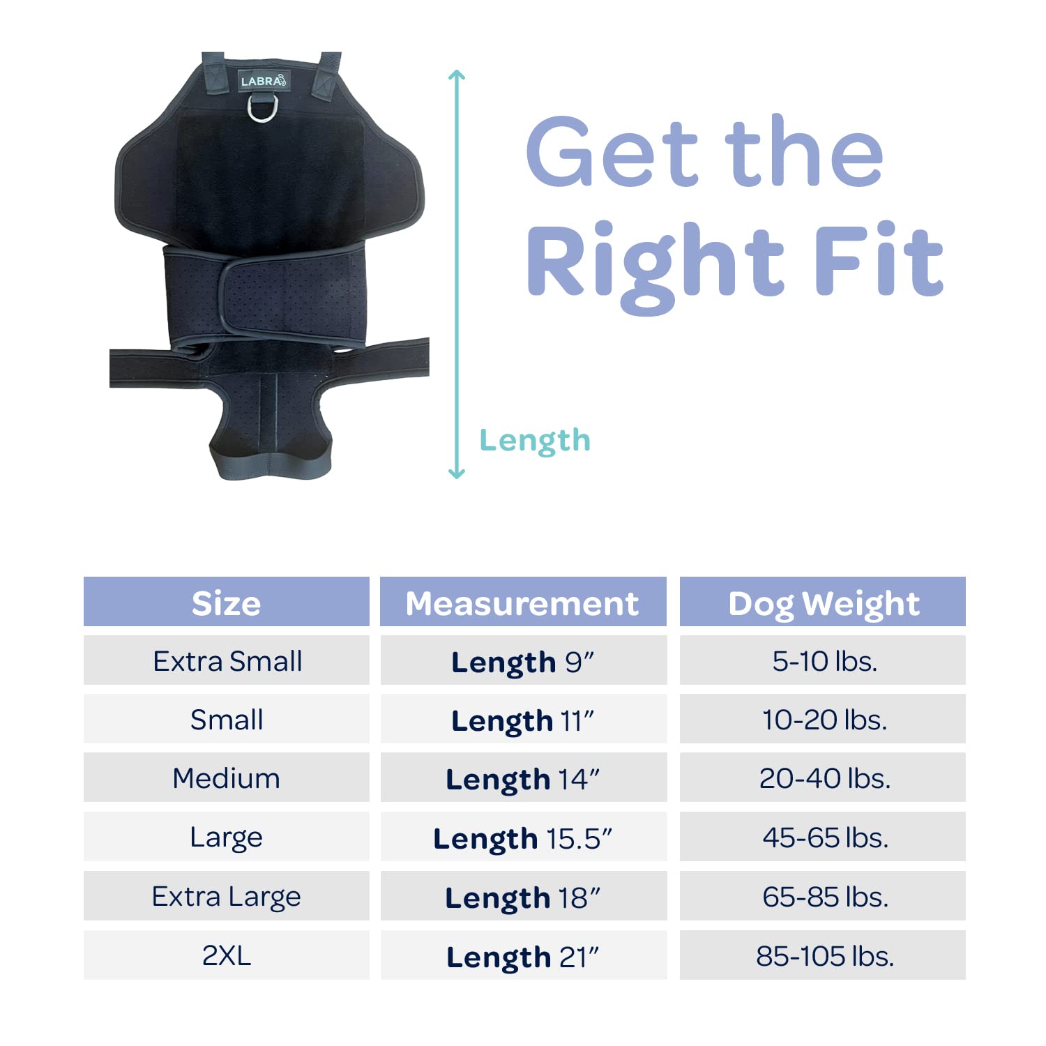 Mua Labra Dog Canine K9 Back Brace - IVDD Spine Pain & Spinal Injury ...