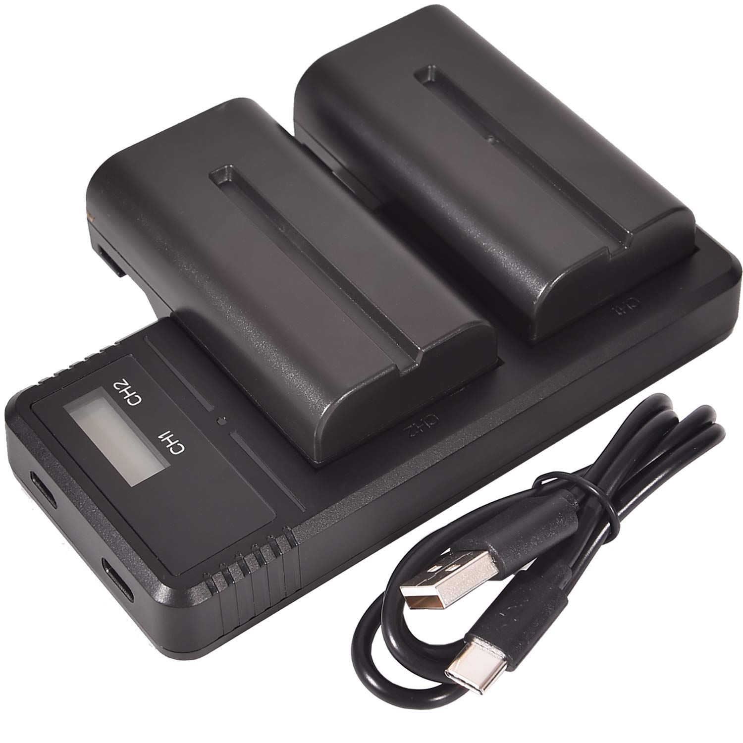 (2 Pack) NP-F550 DSTE Replacement Battery + Fast Charging Dual LCD Charger Compatible with NP-F330, NP-F530, NP-F570 and Sony CCD-RV100, CCD-RV200, CCD-SC5, CCD-SC5/E, CCD-SC55E, CCD-SC55, CCD-SC6