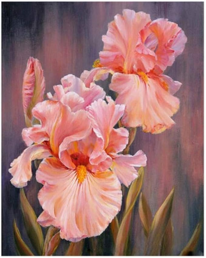 Waofe Rote Blumen Diy Malen Nach Zahlen Kits Acrylfarbe