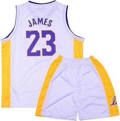 Lebron James #23 Camiseta de Baloncesto para Hombres - NBA Lakers ...