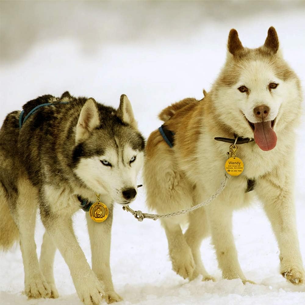 Amazon 迷子札 愛犬用 名札 愛猫用 猫 犬 ネームプレート 精銅製 ペット Id オーダーメイド 刻印 子猫 中型猫 犬 ペンダント オリジナル アラスカン マラミュート Guguluza 名札 Idタグ 通販