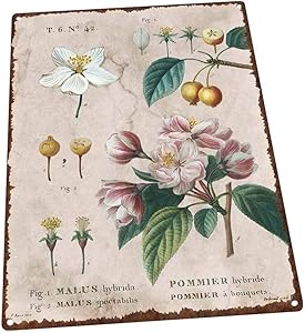 Vintage Flower Encyclopedia, Crabapple Metal Sign Attachment Decorative Rectangular Sign Unique Wall Sign Decor for Porch Patio or Deck 8×12 Inch Unique Gift Custom Metal Sign for Friend Parent