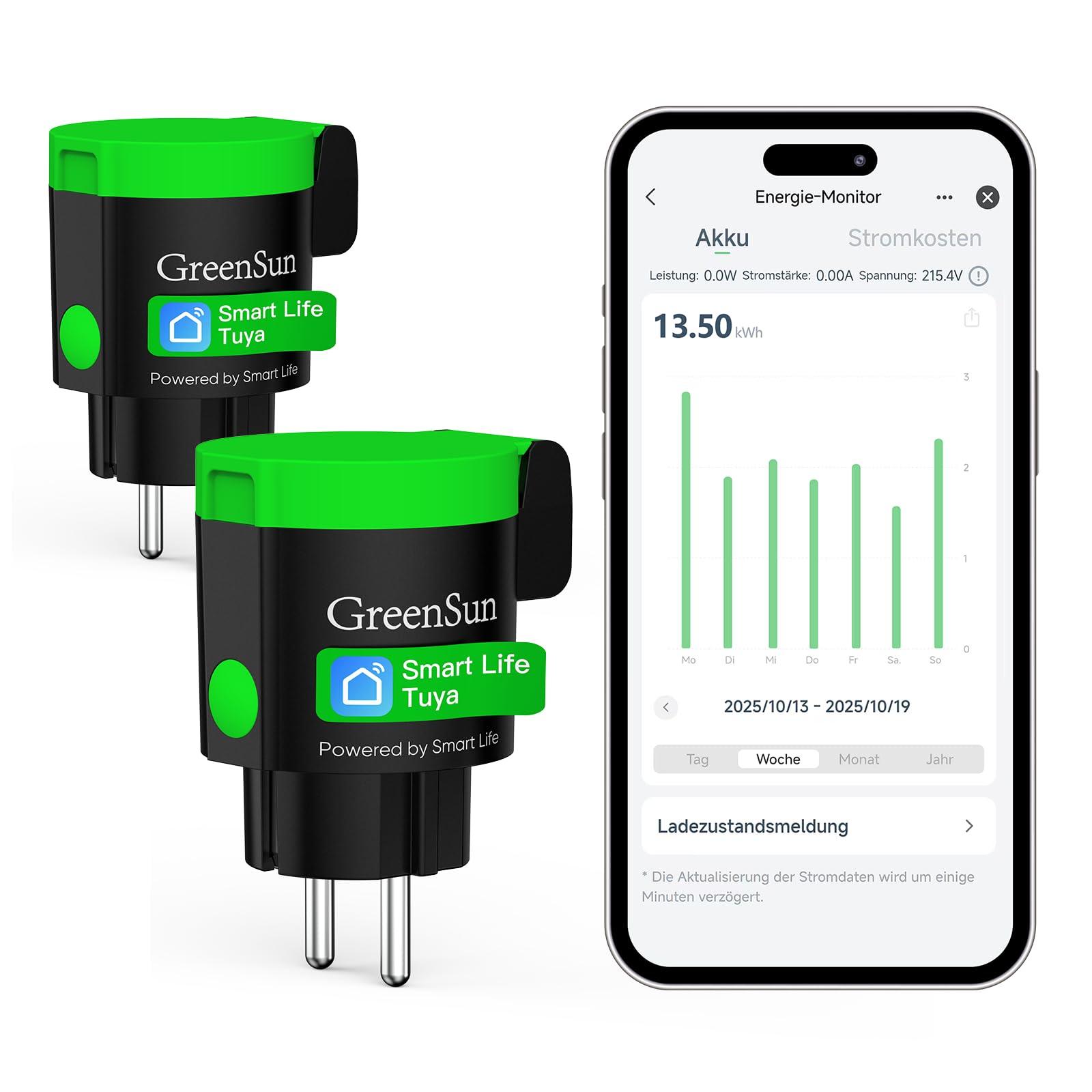 GreenSun WLAN Steckdose Outdoor 2er Pack - IP44 Wasserdicht Außensteckdose mit Strommessung, Zeitschaltuhr & Timer, Kompatibel mit Alexa & Google Home, Smart Life APP, 16A 3680W, für Garten & Terrasse