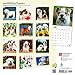Bulldog Puppies 2018 12 x 12 Inch Monthly Square Wall Calendar, Animals Dog Breeds Terrier
