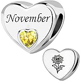 ZakiaHo Birthstone Charms for Bracelets Heart Birth Month Flower Birthday Gifts for Women Compatible with Pandora Charms Bracelets