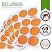 Mosquito Repellent Patch / Resealable 60 Units / Premium Japan natural essential plant oils /100% Natural Mosquito Repellent / Simply Apply to Skin and Clothes