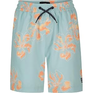 Billabong, Sundays Layback Boardshort - Boys', Dusty Blue, M(10/12)