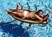 Coconut Float Gigantic 70