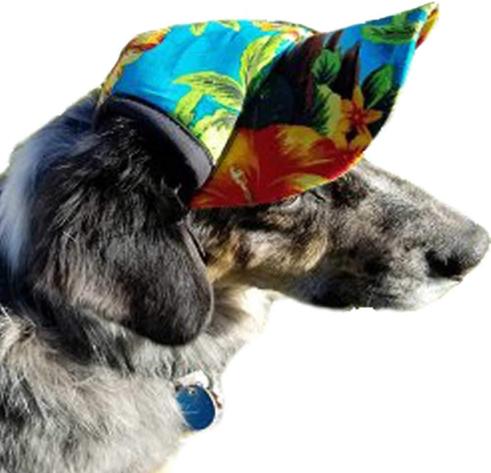 K9 Kool Hats Factory Sale, 51% OFF 