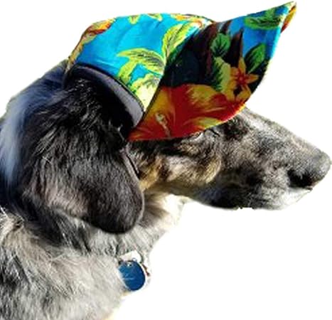 k9 kool hats
