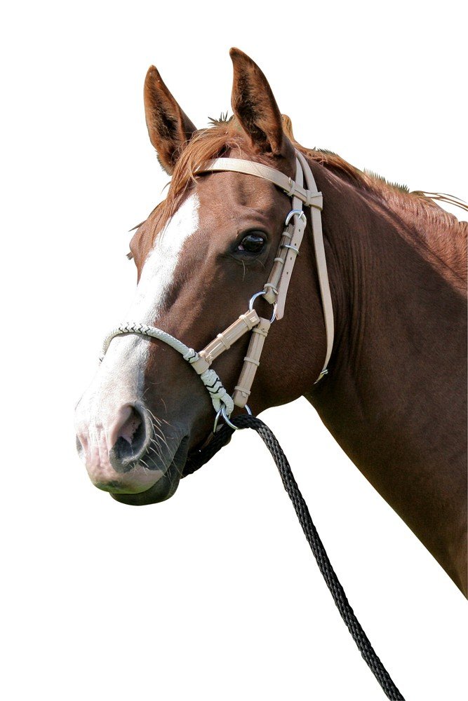 Side Pull, Light Brown Full