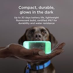 Petcube GPS Tracker for Dogs | Pet GPS Location