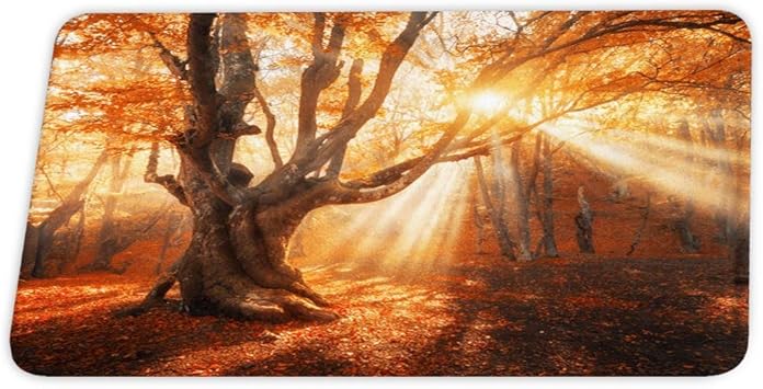 SUPERQIAO Sunshine Autumn Forest Alte Baumpflanze Coral Velvet