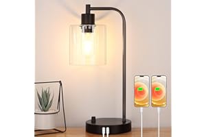 NINTIUE Industrial Table Lamp with 2 USB Charging Ports, Fully Stepless Dimmable Modern Nightstand Lamp, Glass Shade Bedside Desk Lamp for Bedroom Living Room Office, 6W 2700K LED Edison Bulb Included