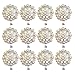 MarryAcc Berry Conchos with Screws Metal Flower Rhinestone Conchos 12 Pieces (Color 11)