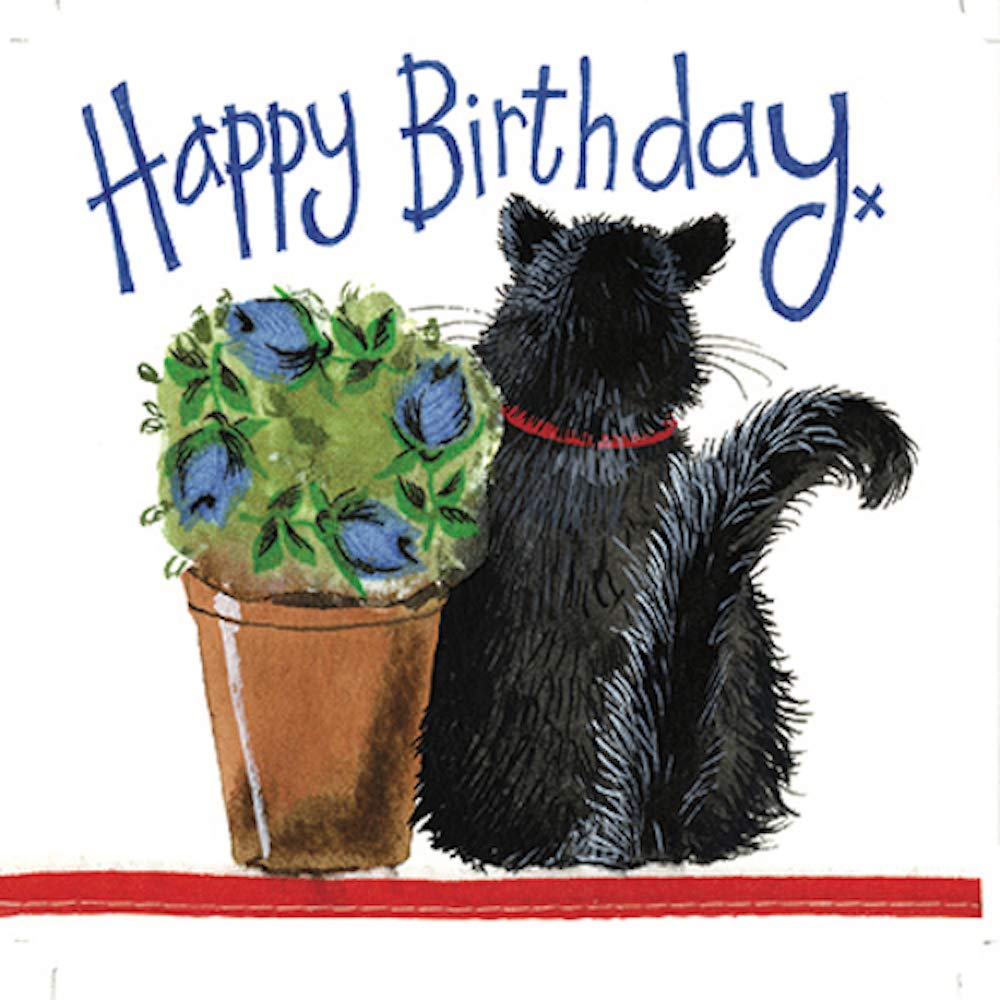 Alex Clark Happy Birthday Card - Cat and Pot Card - Black Cat - Designed and Printed in UK