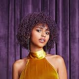SheaMoisture Coconut & Hibiscus Curl & Shine Shampoo 384ml Pack of 2 view 7