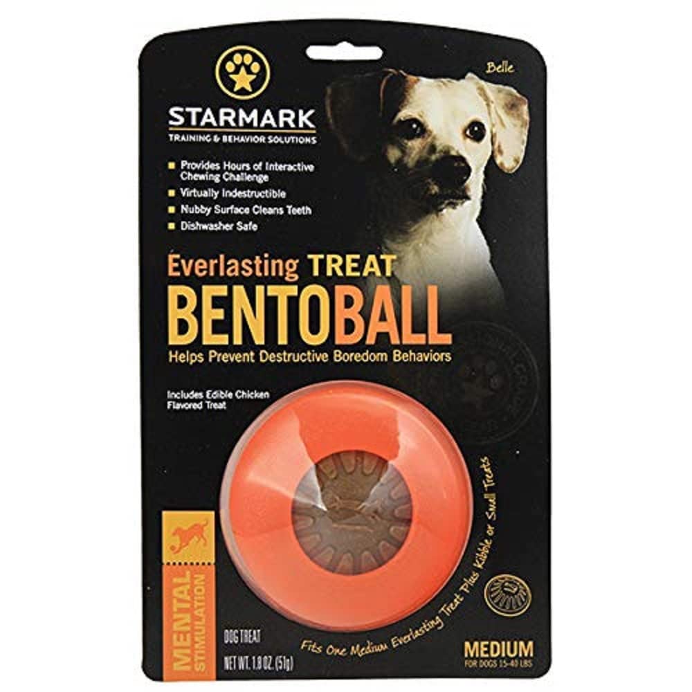 Starmark Everlasting Bento Ball for Dogs, Small
