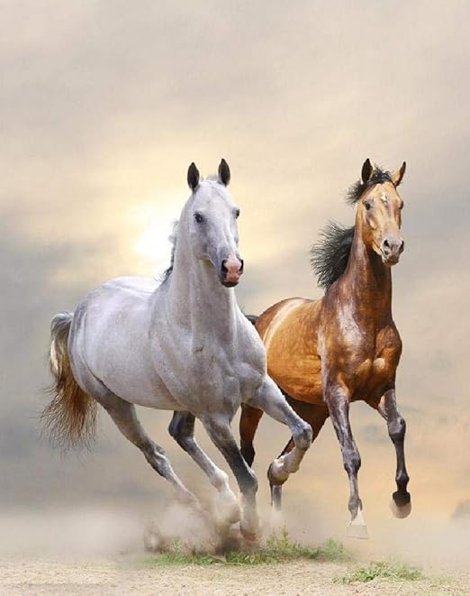 Rompecabezas 1000 Piezas Dos Lotes De Caballos Corriendo Diy Rompecabezas  De Madera Regalo Único Estilo De Decoración Para El Hogar: Amazon.es: Hogar