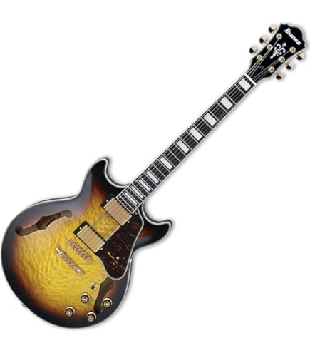 Amazon.com: Ibanez Artcore Expressionist AG95QA - Dark Brown
