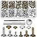 Bememo 120 Set Leather Rivets Double Cap Rivet Buttons with Setting Tool Kit and Storage Box for DIY Leather Craft, 3 Sizes (Silver and Bronze)