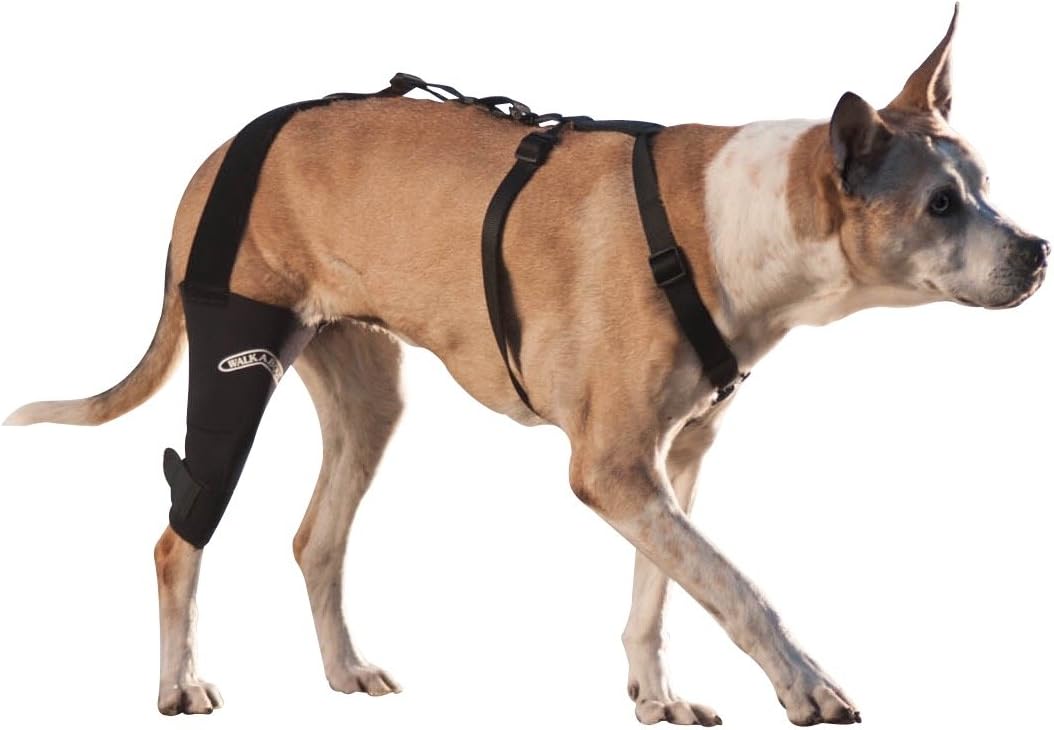 WalkAbout Knee Brace (Medium 10-11" Circumference 1" Above Right Knee) 3Mm Neoprene Support Sleeve